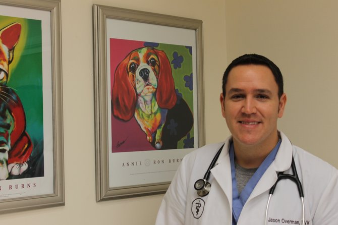 Springfield Animal Hospital Director Jason Overman, who has been working at the hospital since 2010, advises pet owners on how to best care for an aging pet. 