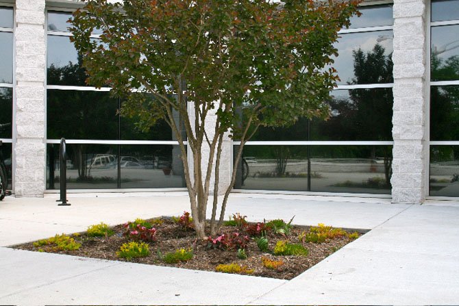 In 2011, the Centreville Garden Club adopted the Centreville Regional Library entrance gardens.
