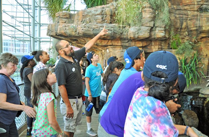 Alan McKenzie, the Baltimore Aquarium guide for the event, leads a group through the Australia exhibit, including Boys and Girls Club members Sandra Achia, Hanny Bushura, Paola Zavala, Edwin Garcia, Eliseo Valenzuela and Mercy Grace Francisco.
