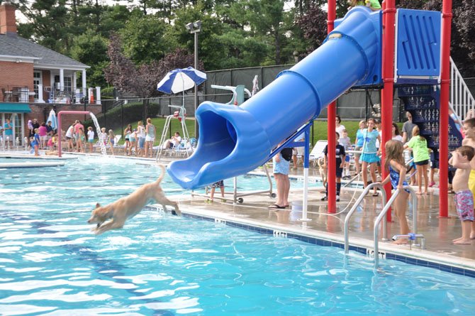 Caillou Monroe enjoys sliding into the pool.