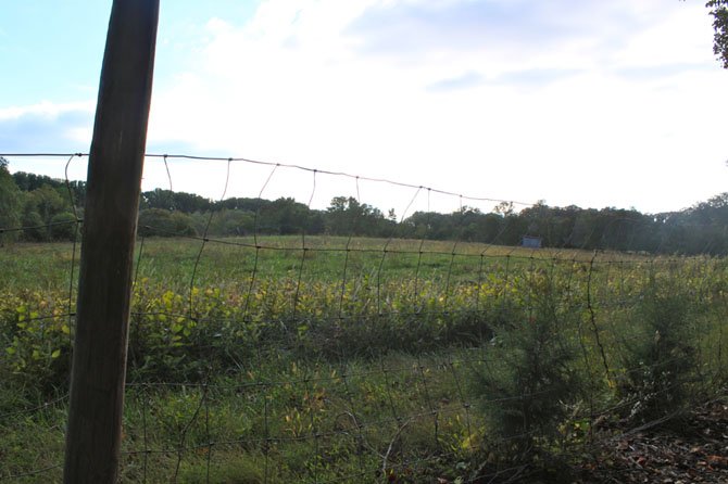 Basheer and Edgemoore are seeking to rezone the former Brooks Farm pasture to allow for 2-acre lots. A petition has been started in opposition to the proposal.

