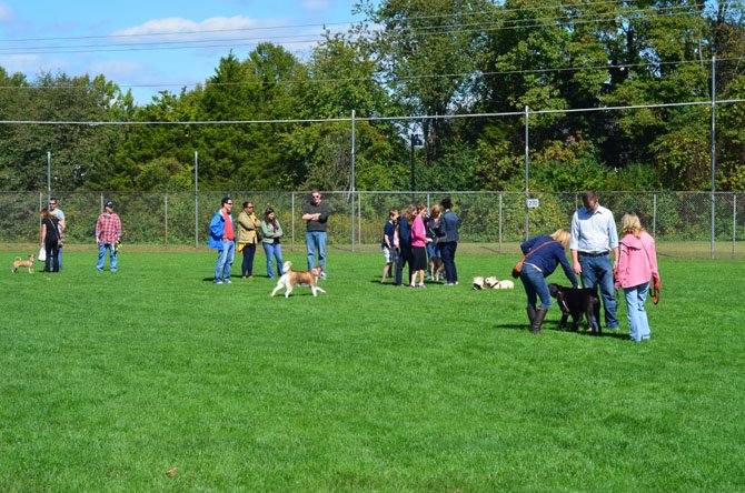 In addition to a variety of vendors, the Oct. 5 HernDOG Bark Bash at Bready Park in Herndon included an off leash area. The event was free and open to the public.