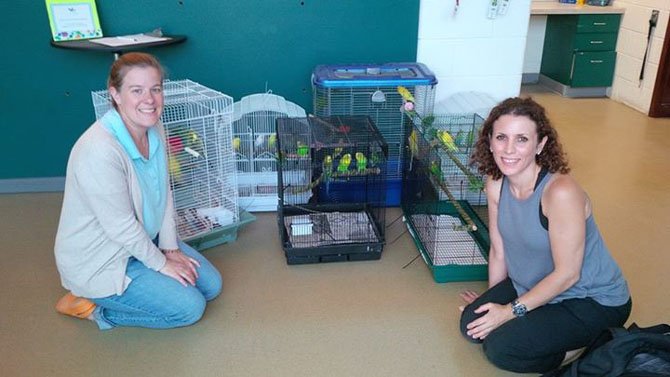 The Animal Welfare League of Alexandria's Director of Animal Care Abbie Hubbard (left) and veterinarian Kim Danoff of Marden's Ark Refuge in North Carolina, with birds captured from a house in Del Ray. 