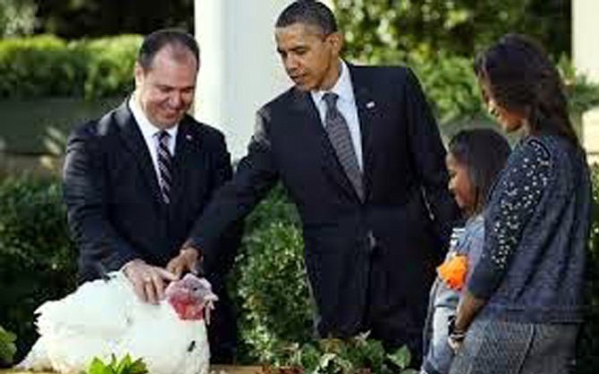 President Barack Obama pardoning a turkey.