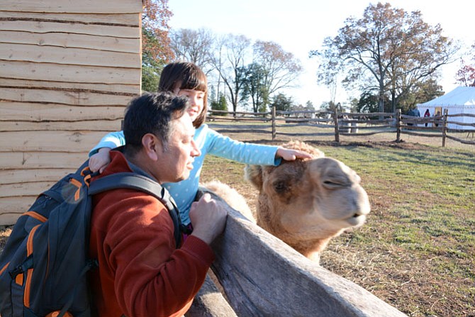 Alberto (left) and Josephine Rendon (center) of Alexandria visit Aladdin (right), the camel-in-residence during George Washington’s Mount Vernon Christmas program.
