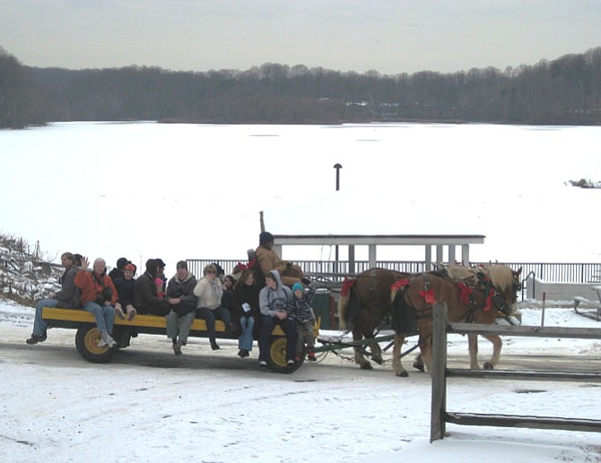 Two Belgian draft horses from Harmon’s Hayrides pull people around Lake Accotink Park in 2010.