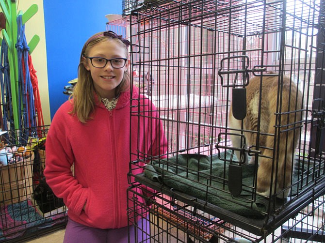 Annie Abruzzo, 10, said that she and her mom saw the cat adoption sign and “had to come in.”
