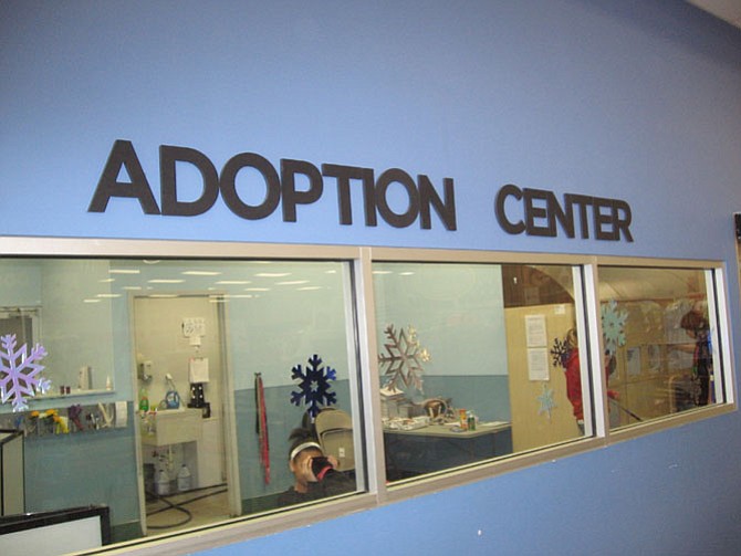 The Adoption Center wall advertisement announces the presence of the facility situated inside the Petco store. The center has an exercise area and clean cages for all of the rescue animals. 