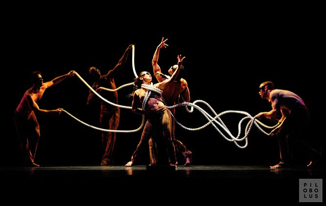 Pilobolus dancers continually break down barriers and challenge the way people think about dance.