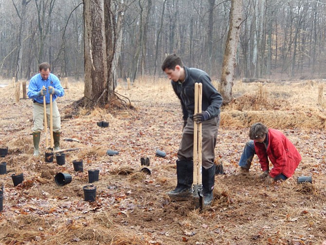 Hard at work planting are (from left) Matt Meyers, Joe Riley-Ryan and Suzy Foster, all with DPWES, Stormwater.