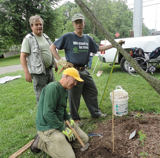 The Tree Stewards at work.