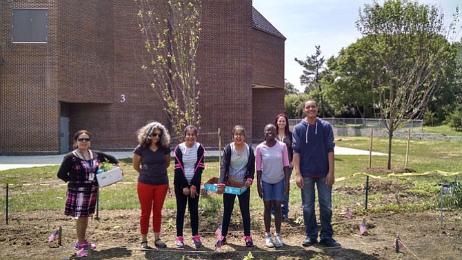 Fallon Keplinger and her class use a garden at Thomas Jefferson Middle School for out-of-classroom lessons. Photo by Emily Rabbitt/The Connection