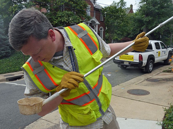 Daniel Sherwood dips out a sample and finds it full of various stages of mosquitoes, some ready to pupate into adults.