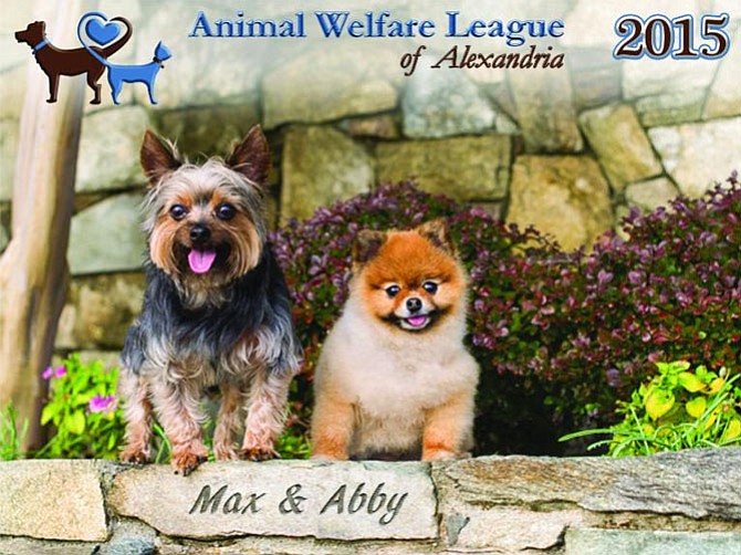 The cover of the 2015 AWLA calendar