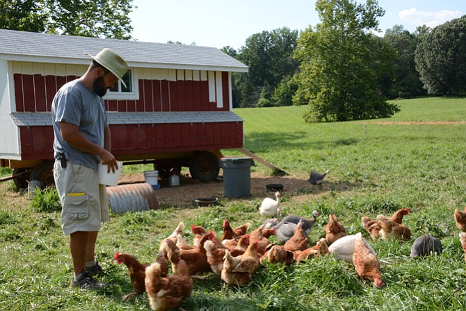 Whitehall Farms head grower Brian Yoder of Reston (left) feeds “pastured” chickens. 