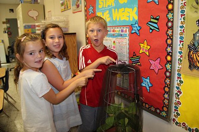 Sophie Stute, Gabriela Cid and Spencer Buddie, can’t hide their excitement at having a monarch chrysalis in their classroom (Cindy Zemke’s second grade at Churchill Road).