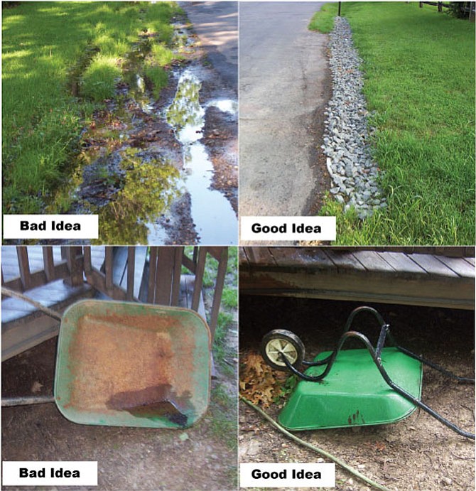 A composite image from Fairfax County shows home scenarios that are both more and less conducive to mosquitos breeding.
