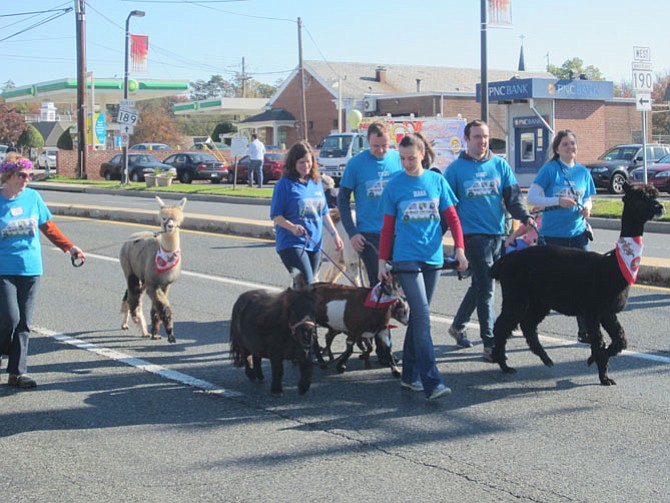 Some of the animals in the Squeals on Wheels petting zoo.
