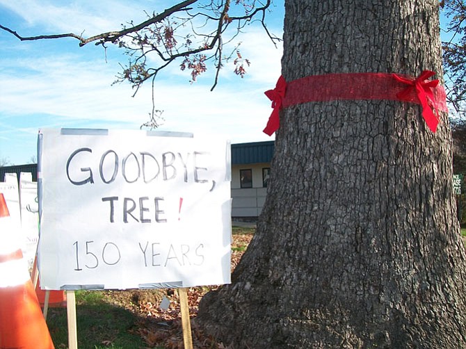 To keep motorists and pedestrians safe, VDOT will chop down this beloved oak at the intersection of Georgetown Pike and Walker Road this week.
