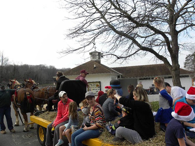 Children clamber excitedly onto the most popular event during Lake Accotink Park’s holiday hayride, lakeside campfire and visit to Santa--the horse-drawn hayride pulled by the elegant equines from Harmon’s Hayrides and Carriages.
