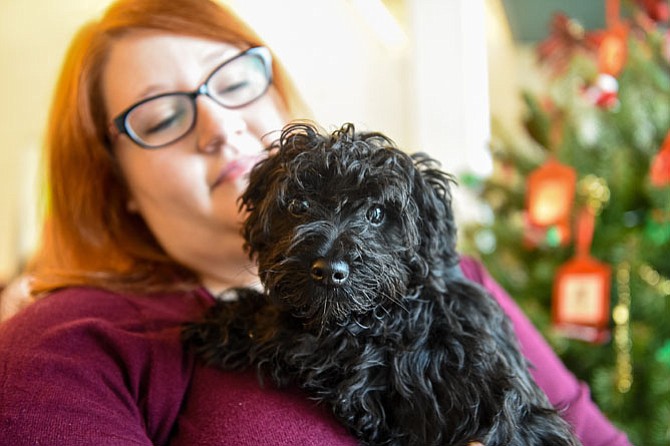 Animal Welfare League of Alexandria staffer Linda Gerhardt comforts a newly arrived dog from Page County, Va.
