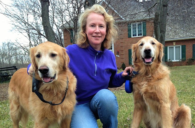 Allison Waldron, of Fairfax Station,  with Taylor and Tucker (the two Ts), two rescued Golden Retriever brothers.
