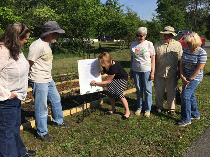 Friends of Runnymede Park watch Mayor Lisa Merkel sign the Mayor for Monarchs pledge. The Town will initiate efforts to help the monarch butterfly population, which has dwindled by 90 percent the last two decades, according to the National Wildlife Federation.
