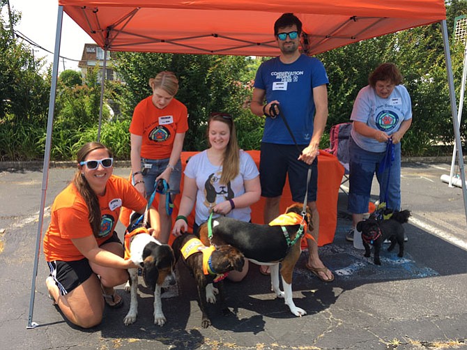 Homewards Trail animal rescue brought a half-dozen dogs hoping to be adopted into a loving home.
