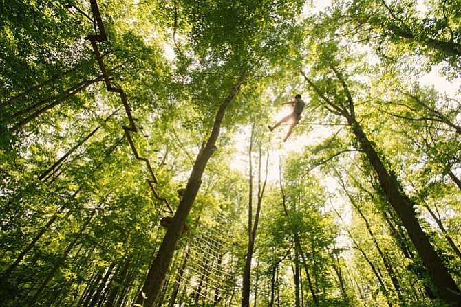 Go Ape Treetop Adventures sends participants zipping through trees in several public parks like Rock Creek Regional Park in Rockville.
