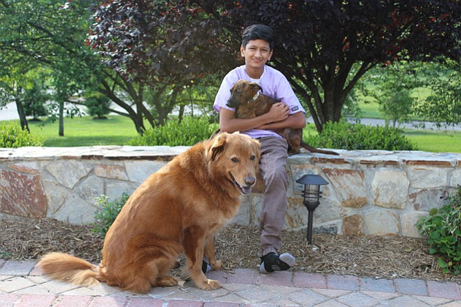 Sachin Muralidhar, vet intern and animal rescue volunteer, with WTAR foster pup (Delta) and adopted rescue (Sparky).

