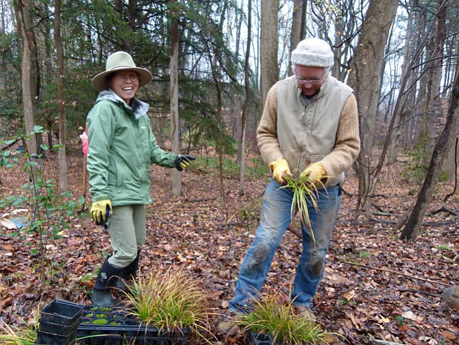 Dranesville Supervisor John W. Foust honored Alan Ford for thousands of hours he has spent in county and federal parks in Northern Virginia.
