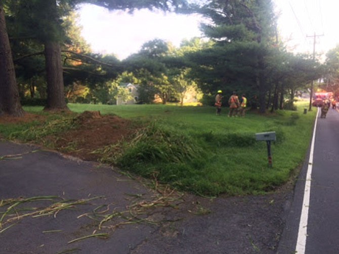 A 28-year-old Alexandria resident died in a single-vehicle crash at the 1100 block of Walker Road in the Great Falls area on Saturday, Aug. 6.
