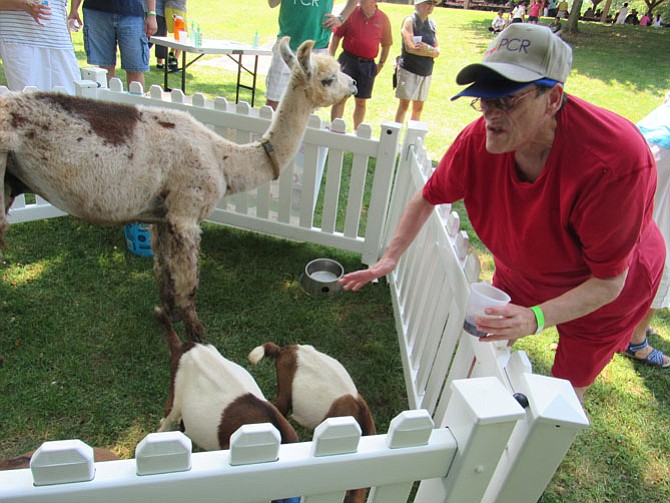 Those attending Potomac Community Resource’s annual barbeque enjoyed animals from Squeals on Wheels.  
