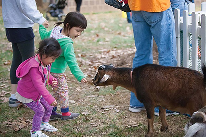 Squeals on Wheels Traveling Petting Zoo will have a variety of farm animals on display giving children a hands-on educational experience.
