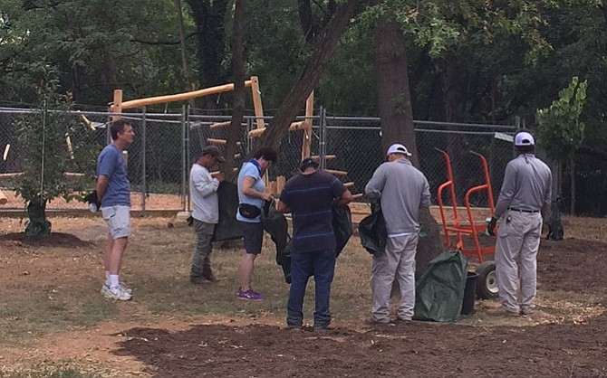 Volunteers plant trees at Taney Avenue Park as part of the Sept. 17 RunningBrooke Volunteer Day.