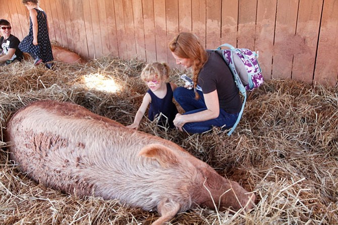 Three-year-old Tea Addeo and her mother, Sara, give Maddie a pat during her afternoon nap. She still has mud clinging to her coat after her mud bath in the nearby stream.
