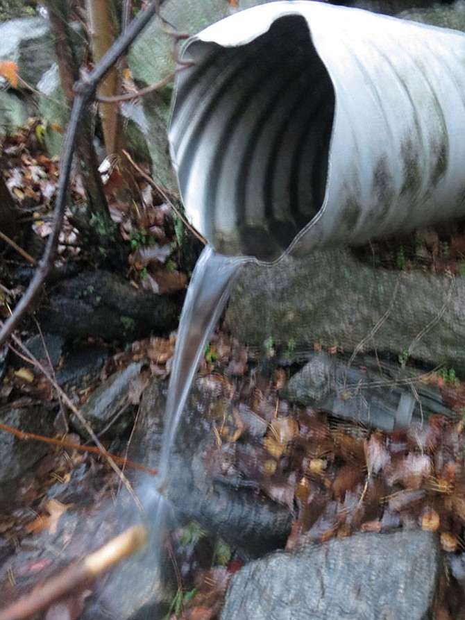 Outfall 001, source of sewage being dumped into Oronoco Bay.