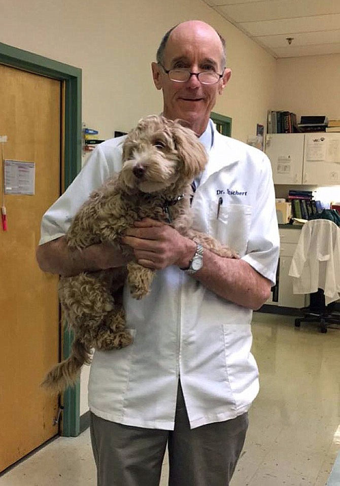 Dr. Jamie Netschert holds a furry patient at the Clifton-Centreville Animal Clinic.