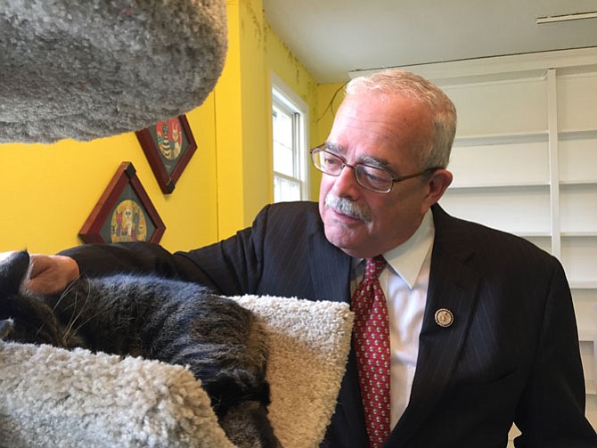 Congressman Gerry Connolly has a house full of animals that include a cat, dog and a 40 year old parrot. 