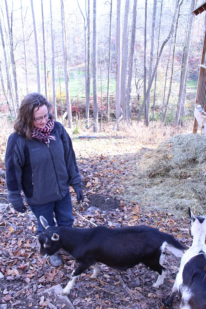 Sarah Wehri lets her goats out of the fenced-in pasture on her farm last fall.