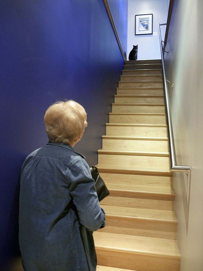 Sasha has heard familiar steps and sits at the top of the stairs waiting for his food and fun to begin with pet sitter Arlene Burstrom. 