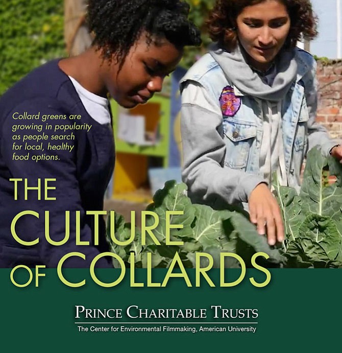 "The Culture of Collards" by Vanina Harel of Washington, D.C., and Aditi Desai of Arlington.