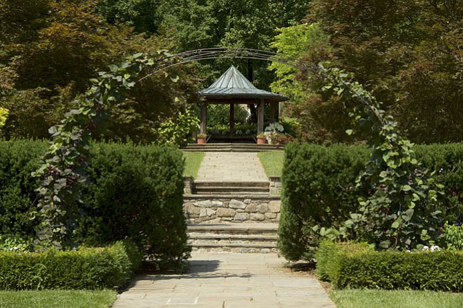 Brookside Gardens in Wheaton offers 50 acres of flowers.
