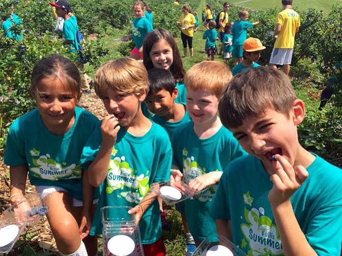 Campers such as those at Bullis Summer Programs in Potomac, Md., gain life skills through summer camp experiences.