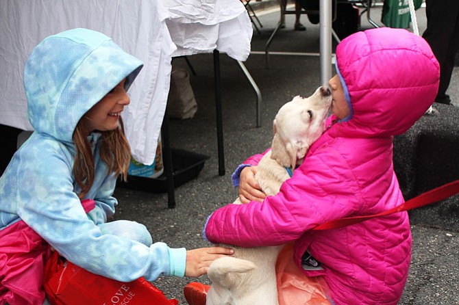 Kate Drosos, 7, and her sister Sophia, 5, exchange lov'n with Wilbur the Chihuahua, available for adoption from DC PAWS Rescue. Earlier in the day, the girls’ mother was overheard saying, "Maybe we will take a dog home today." 