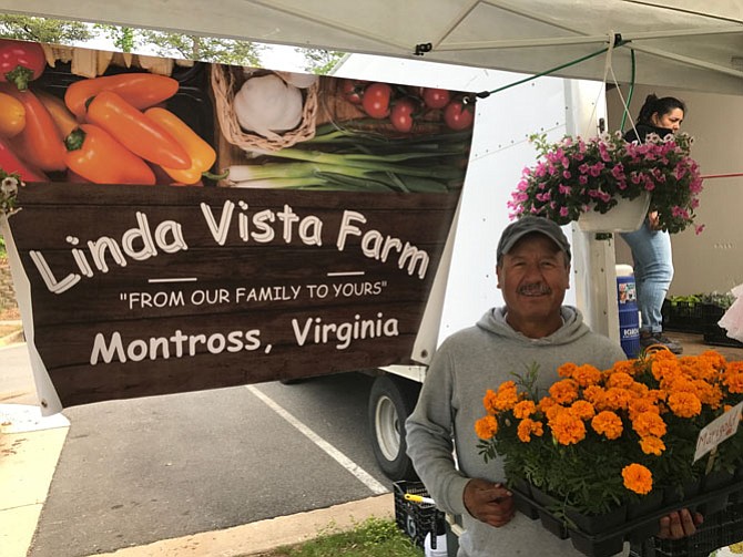 Jesus Ochoa of Linda Vista Farm held a flat of his pesticide-free marigolds he and his family have grown in their greenhouse in Montross, Va. No annual may be easier to grow than marigolds, which bloom brightly from late spring through the first frost in fall.