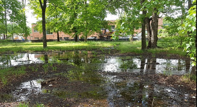 The standing water near Stratford Landing Elementary School.