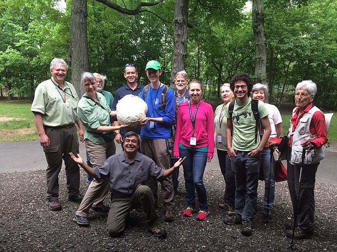 Arlington County Natural Resources Manager Alonso Abugattas crouches on the ground while volunteers gather around a fungus that mycologist Rachel Toman and her team discovered, known as a “puffball."