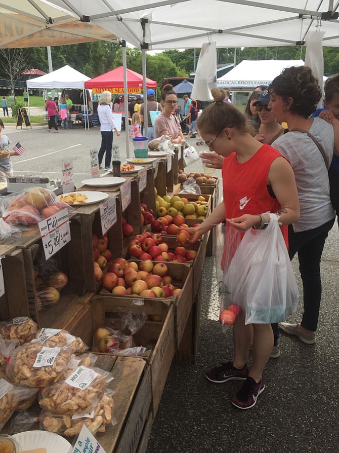 Burke local Jannetta Gregory looks at the different kinds of apples offered at the Kuhn Orchards tent at the Burke Farmers Market.