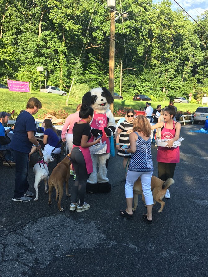 Dogs and their people gather around Jellybean, the mascot of Bone Jour dog grooming salon in Bethesda, during the Yappy Hour at the Irish Inn in Glen Echo on Wednesday, May 31.
